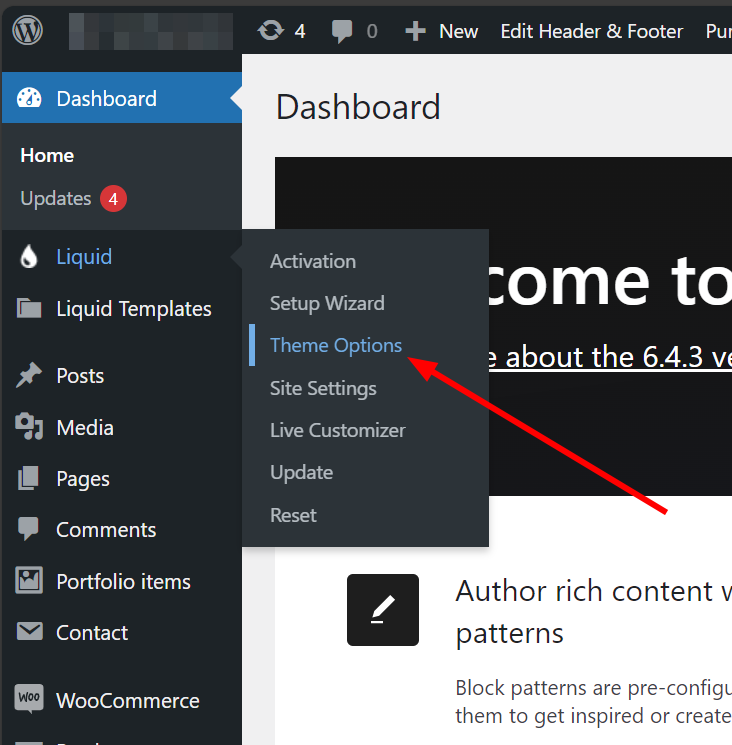 How to Access Theme Options