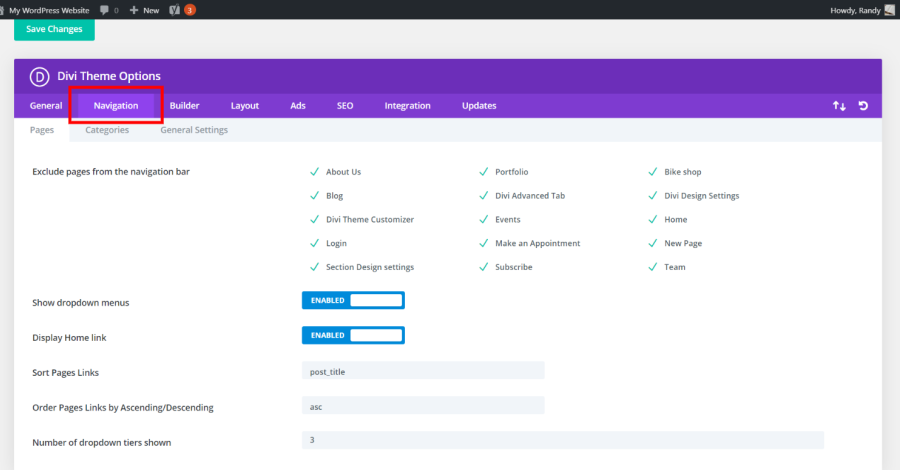 How to Find the Builder Tab in Divi Theme Options
